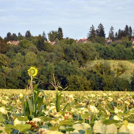 Jacuzzi, Hot Tub, And Sauna Retreat Near Heviz Apartmán *