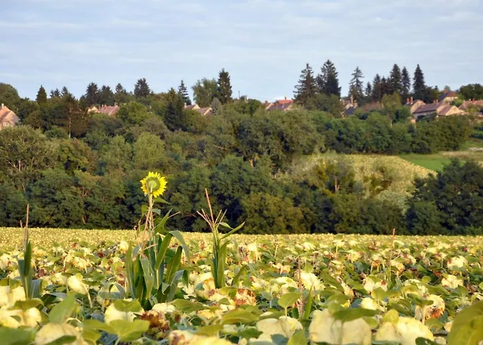 Jacuzzi, Hot Tub,&sauna Retreat Near Hévíz Apartman *